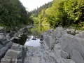 Kamieniste koryto rzeki, gdzie woda tworzy siwe wiry wśród skał. Otoczone bujną zielenią drzew.