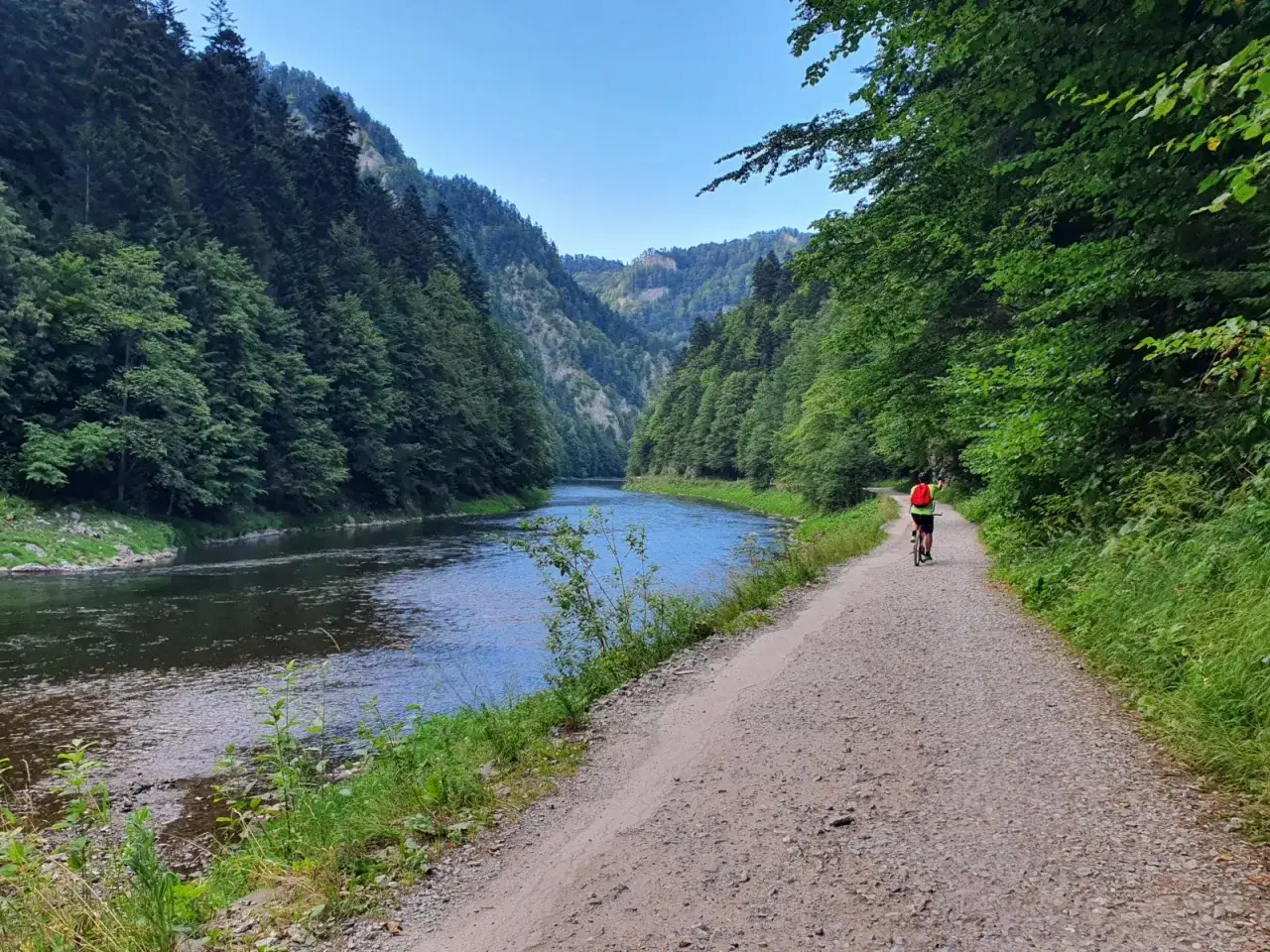 Rowerzysta przemierza malowniczą trasę Velo Dunajec w okolicach Tarnowa, otoczony zielonymi lasami i spokojną rzeką.