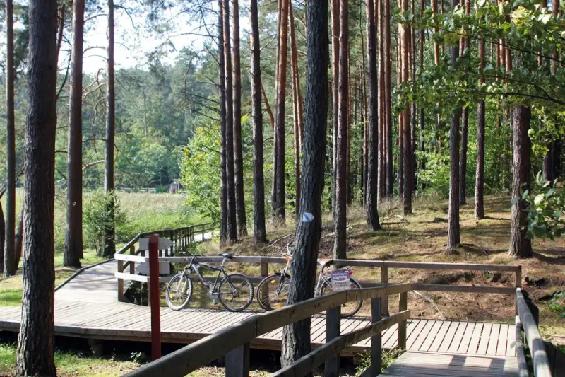 Dwie rowery czekają na przygodę na drewnianej kładce. Trasa rowerowa Roztocze zaprasza do odkrywania leśnych zakątków.